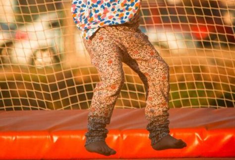 pexels alimuart 17935410(1)(1)(1)